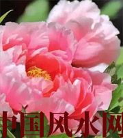 娄底预示你财运上升，姻缘可成的梦境，快来看看吧！