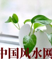 娄底家中摆放六种吉祥物，会打开您的财运大门！