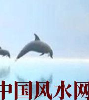 娄底做梦梦到这些，是要富裕的征兆！